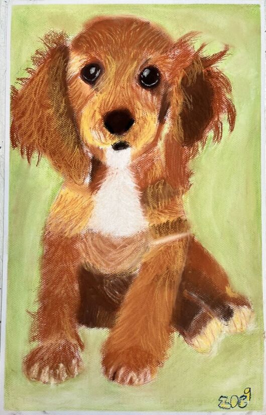 Pastel Dog