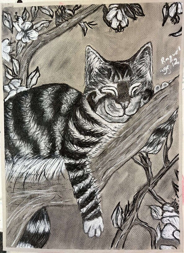 Black & White Cat - Charcoal & White Pastel